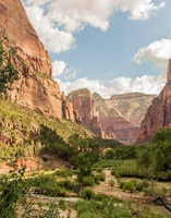 Zion National Park Utah USA 91